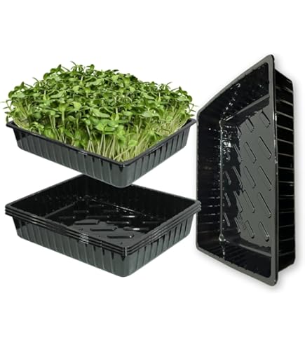Amazon.co.jp: 2ピース 苗スタータートレイ 20/24/32孔プラスチック苗