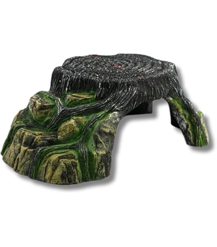 Amazon | ビバリア バスキング&シェルター L サイズ | ビバリア