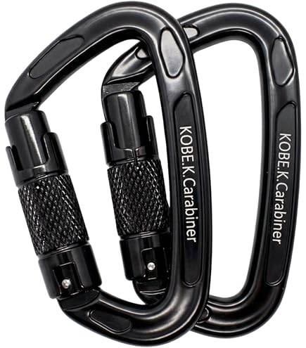 Amazon.co.jp: back number ロゴ 別注 カラビナ バックナンバー