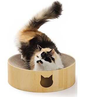 【値下げしました!】マルカン ニャン太のあったかヒーター猫鍋 カーペット付 Amazon.co.jp: マルカン あったかヒーター猫鍋 カーペット付 CT
