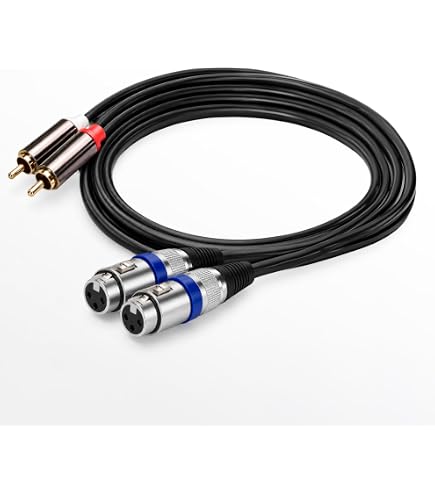 Amazon | キャノン変換ケーブル マイクケーブル モノラルフォン×2-XLR