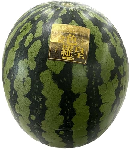Amazon.co.jp: 羅皇 約7キロ～ 羅皇ザ・スウィート 大玉すいか 熊本産