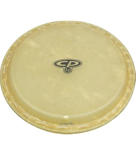 Amazon | EVANS エヴァンス コンガヘッド 11.00