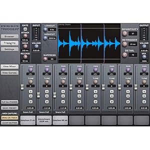 【国内正規輸入品】SLATE DIGITAL Trigger 2