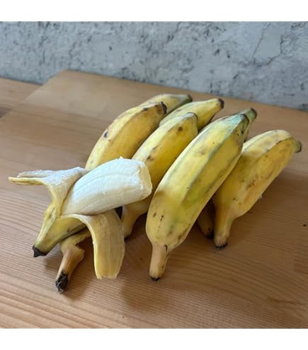 Amazon.co.jp: 【産地厳選】 ご家庭用バナナ 1箱 13kg～15kg前後