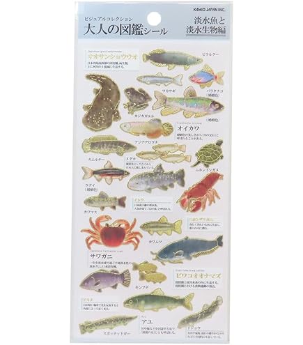 Amazon | カミオジャパン シール 大人の図鑑シール 海洋生物 700655