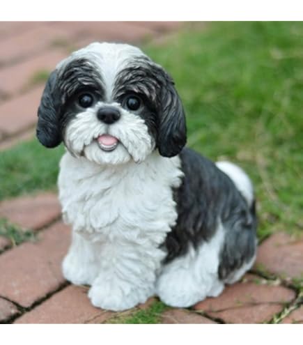 Amazon.co.jp: ブラック&ホワイト スタンディング シーズー ツーズ