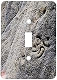 3drose LSP _ 107707 _ 1 Hinduist Om Sign Carved on Stone in Sa Pedrera Des Savinar、Hidden Place Know