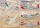 プリントスケール 72-039 1/72 P-51 マスタング-D