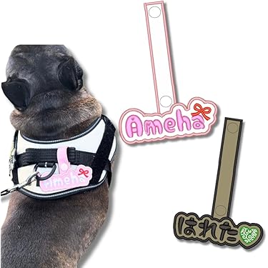 Amazon.co.jp 売れ筋ランキング: 犬用名札・IDタグ の中で最も人気の