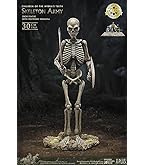 Amazon | スターエーストイズ ミナトンの心臓 レプリカ 約150×130