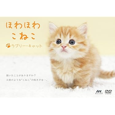 犬猫 [DVD] o7r6kf1 犬と猫と人間と2 動物たちの大震災 | 宅配DVDレンタルのTSUTAYA