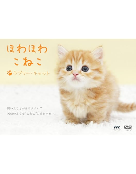 Amazon.co.jp: シンフォレストDVD 