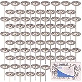 SPTA 22mm ステンレス鋼線ブラシ 研磨ブラシ 為に 1/8"（3mm）シャンク Dremel (ドレメル）Proxxon ロータリーツール--サンディング、研削、研磨 80個のパック [並行輸