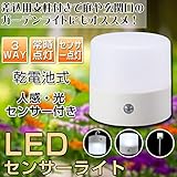 3WAY led 電池 LEDセンサーライト 屋外 屋内 ガーデンライト 光・人感センサー付 LED Wセンサーマルチライト アウトドア キャンプ NIT-BY1-W おしゃれ