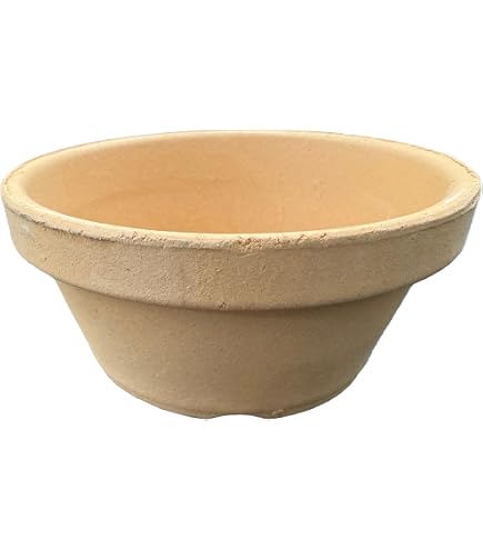 Amazon.co.jp: 鉢 KANEYOSHI 【日本製/安心の国産品質】 陶器 植木鉢