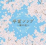 �����!!���ƃ\���O�`�̂̉ԁ`