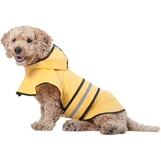 The most popular items in Raincoats for 