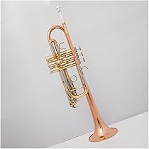 管楽器・吹奏楽器 PROF. SCHERBAUM 5C PROF. SCHERBAUM 5C - メルカリ