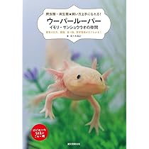 ウーパールーパー様 IMG_0164-1024x768-1-375x232.jpeg