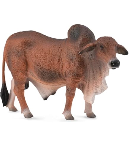 CollectA Black Angus Bull : Amazon.com.au: Toys & Games