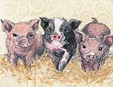 Oopsy Daisy Canvas Wall Art, Three Piglets, 18' x 14' [並行輸入品]