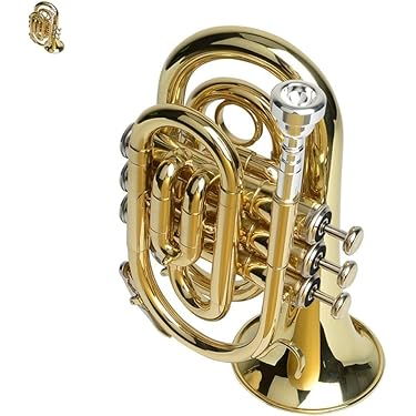 【美品】ミニトランペット Amazon.co.jp 売れ筋ランキング: ポケットトランペット の中で