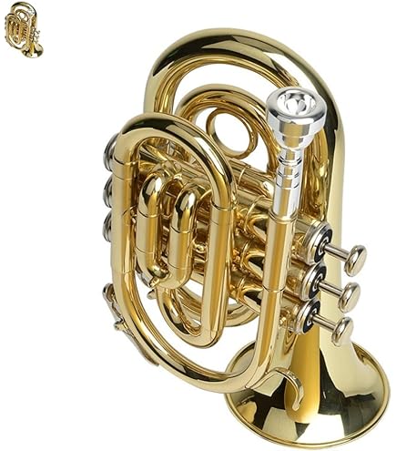 Amazon.co.jp: キャロル・ブラス Carol Brass ミニ・ポケット