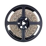 HKC8MM-2P 2Pin 8MM HKF2835-PW300-NW