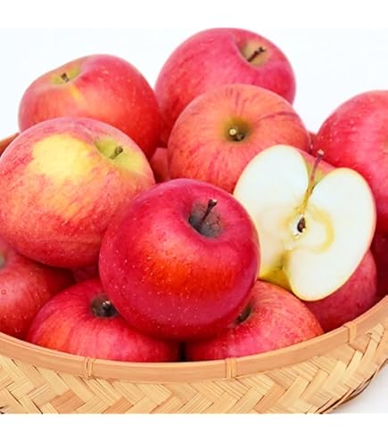 Amazon.co.jp: 青森 りんご 10kg箱 きみと ご家庭用/訳あり 林檎 10