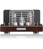 Amazon.co.jp: ONKYO A-9110 プリメインアンプ シルバー A-9110(S