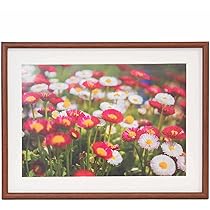 フジカラー FUJICOLOR 木製額縁 M21 4切　ブラウン 9個セット Amazon | FUJICOLOR 木製額縁 M21 4切 ブラウン 407895 | 額縁・パネル