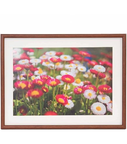 FUJICOLOR 木製額縁 M21 全紙 ブラウン 407925 Amazon | FUJICOLOR 木製額縁 M21 全紙 ブラウン 407925 | 額縁