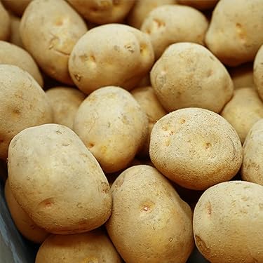 おすすめっ❗️ じゃがいも　5kg 77 Amazon.co.jp ほしい物ランキング: じゃがいも で、ほしい物