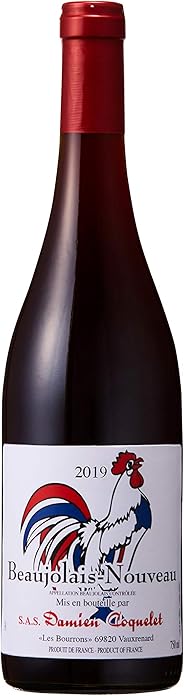 ダミアン・コクレ ボジョレー・ヌーヴォー 2019 [ 赤ワイン ミディアムボディ フランス 750ml ]