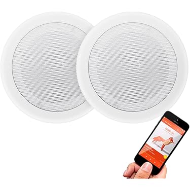 Amazon.co.jp ほしい物ランキング: 天井・壁埋込型スピーカー で