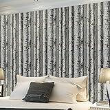 birwall Birch Tree Forest壁紙壁壁画、20.8 X 393.7」、「66092