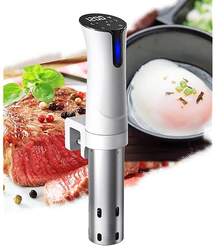 Amazon.co.jp: 低温調理器 スリム LTC-02-T カカオブラウン : ホーム