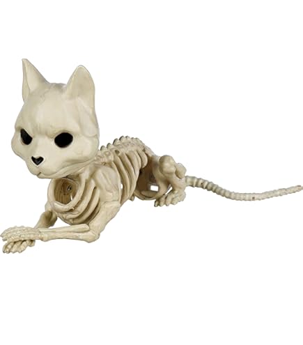 Amazon.co.jp: Crazy Bonez 座っているスケルトンキャット : おもちゃ