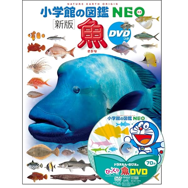 図鑑NEO 基本 5冊セット |本 | 通販 | Amazon