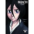 BLEACH 新隊長天貝繍助篇 3 [DVD]