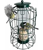 Amazon.co.jp: Allystyle バードフィーダー 鳥の餌箱 野鳥 給餌器 餌台