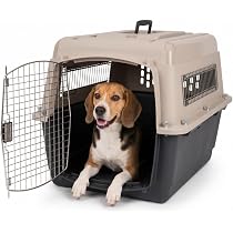 Amazon | Petmate ペットライブラリー カラーバリケンネルウルトラ M