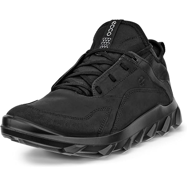 Amazon | [エコー] バイオム エーイーエックス M | ecco(エコー
