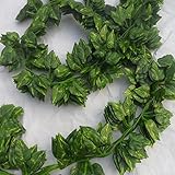 (KAMOMIRU)　観葉植物　ラティス　壁掛　造花　リーフ　フラワー　セット　目隠し (葉っぱ　5束セット)