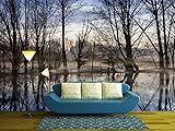 wall26 ‐粘着タイプの壁紙 大壁画シリーズ 100"x144" WMR-WP-X-D673-100x24x6