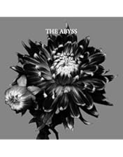 Amazon.co.jp: HYDE 20th Anniversary ROENTGEN Concert 2021 Complete