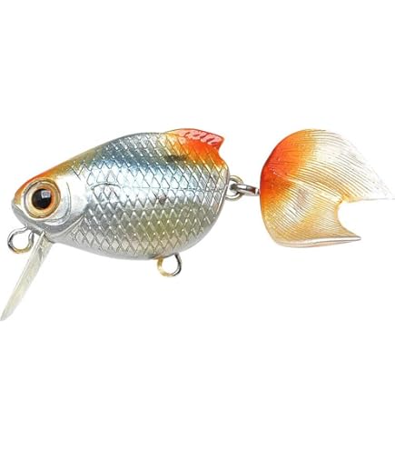 Amazon | LUCKY CRAFT ラッキークラフト金魚・小赤40S 40S,NCパワード