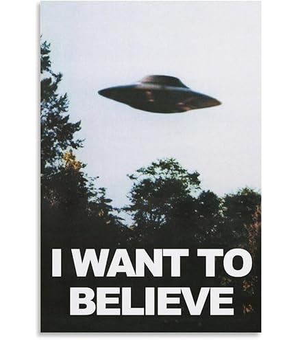 Amazon.co.jp: The X Files I Want To Believe ポスター-I Want To
