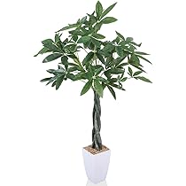 Amazon｜人工観葉植物 フェイクグリーン パキラ 110CM 造花 観葉樹